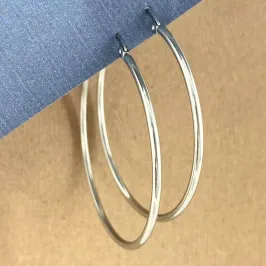 Brinco Aço Inox Prateado Argola